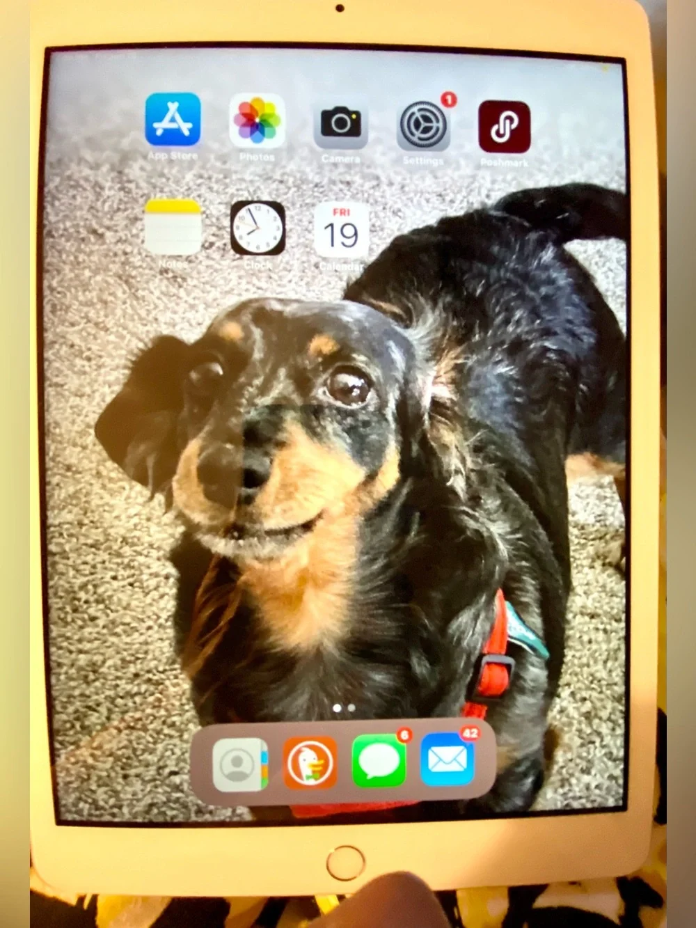 Apple IPad 7th generation, 32 GB, Home Button. Replaced by AppleCare 6 mo agoEUC